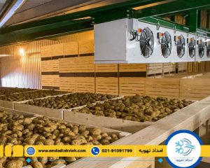 راه اندازی سردخانه